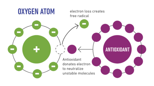 On mechanism of antioxidant effect of fullerenols