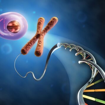 Mechanism of taq DNA polymerase inhibition by fullerene derivatives: insight from computer simulations