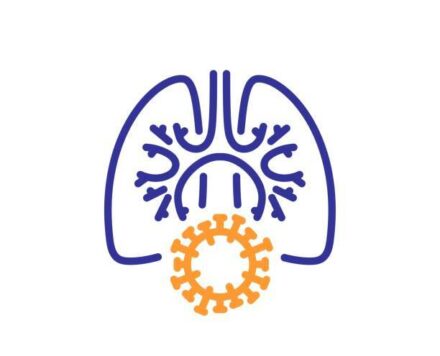 Inhalable gadofullerenol/[70] fullerenol as high-efficiency ROS scavengers for pulmonary fibrosis therapy
