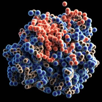 Influences of the size and hydroxyl number of fullerenes/fullerenols on their interactions with proteins